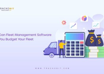 Why use Fleet Management System to budget your fleet?