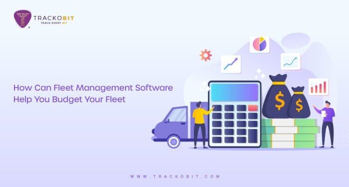 Why use Fleet Management System to budget your fleet?
